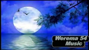 Шалава,лава,лава(дворовая ) Werema54video music