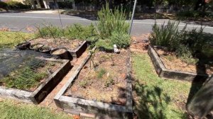 БЕСПЛАТНО МЕБЕЛЬ,НОВАЯ ОБУВЬ,ОДЕЖДА,ПОСУДА НА УЛИЦАХ СИДНЕЯ (Me & Australia)