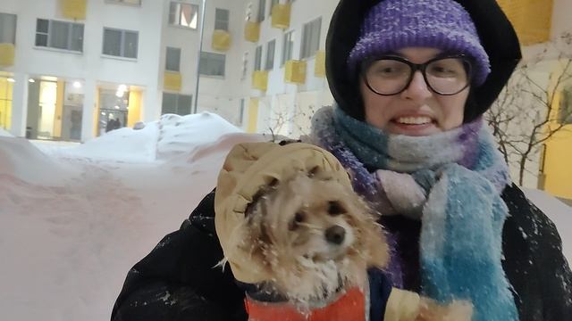 Зимний февраль в Подмосковье.