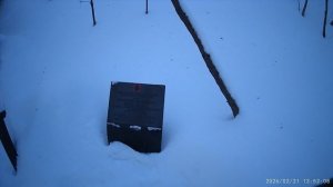 13 лыжный поход. Воробьёвы горы.