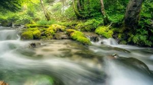 ❤️ ❤️ ЗАРЯЖАЕМ НОВЫЙ ДЕНЬ НА  ПОЗИТИВ ❗️❗️❤️🙌