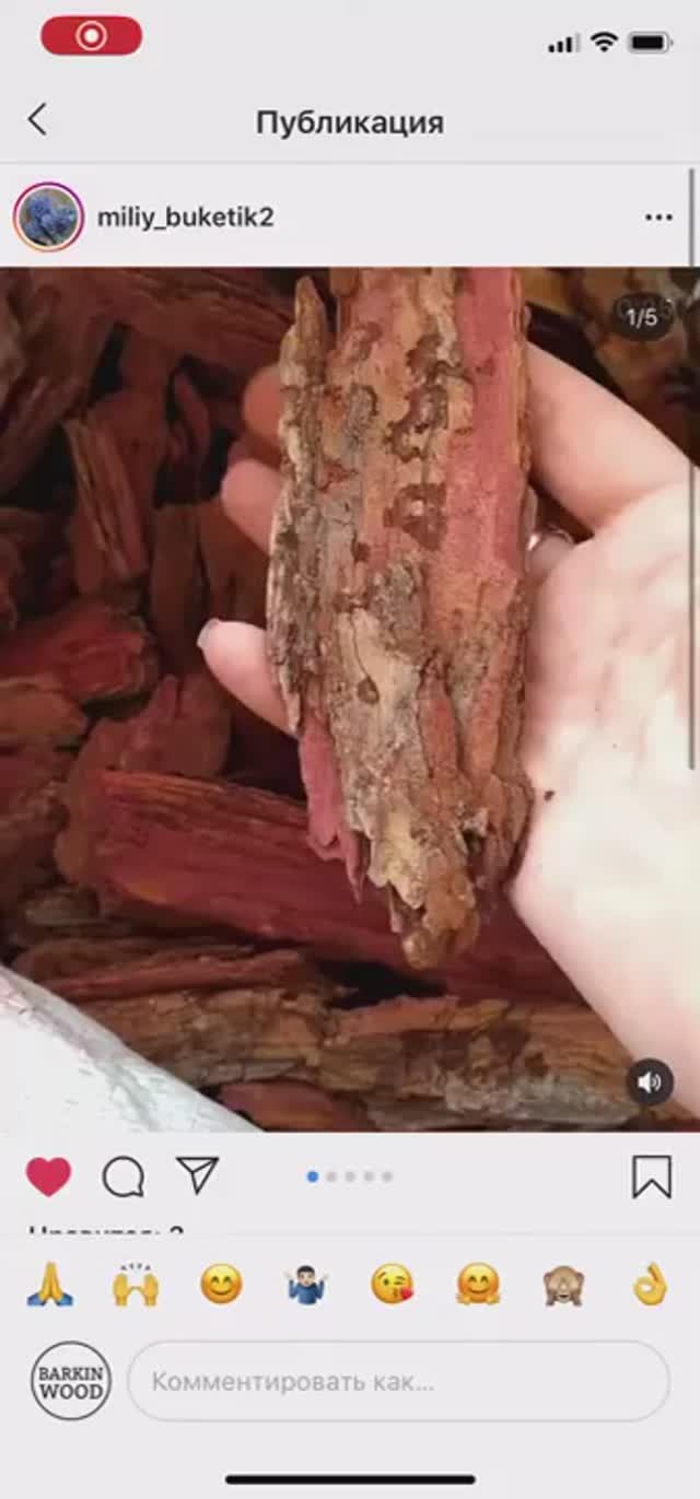 Кора лиственницы сверху геотекстиля (от miliy_buketik2)