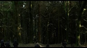 Лобстер - The Lobster (2015) трейлер - pretty-random-movies.ru_1
