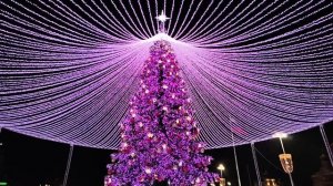 Тульская городская ёлка-шатер