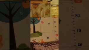 День рождения зайца