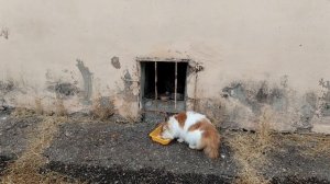 Новичок освоился.. 🙏