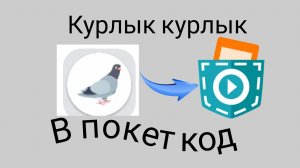 сделал курлык курлык в покет код