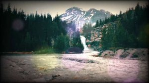 Шрамы на сердце