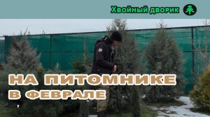 НА ПИТОМНИКЕ В ФЕВРАЛЕ: Осмотр после урагана, планы на сезон и советы по посадке