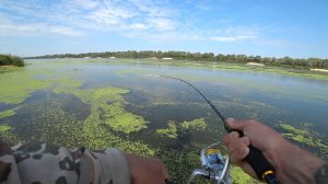 ЗРЕЛИЩНАЯ РЫБАЛКА НА ПОВЕРХНОСТНУЮ ПРИМАНКУ