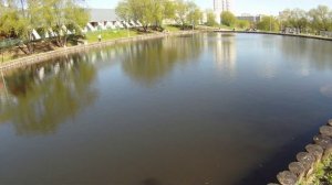 TsuYoki Flirt 115SP с заглушенной СДЗ