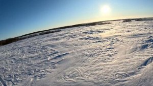 Охота на лису.