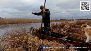 Живу в тёплой палатке с верным другом + Отличная рыбалка под дождём
