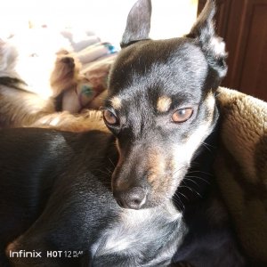 всем привет!!!