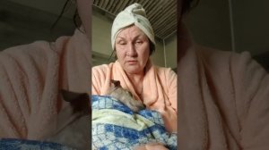 Снежок сидит