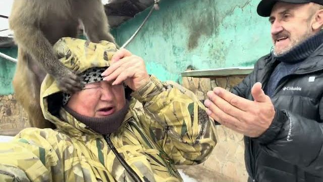 Люся на радостях зарядила мне лапой в глаз! смотреть онлайн