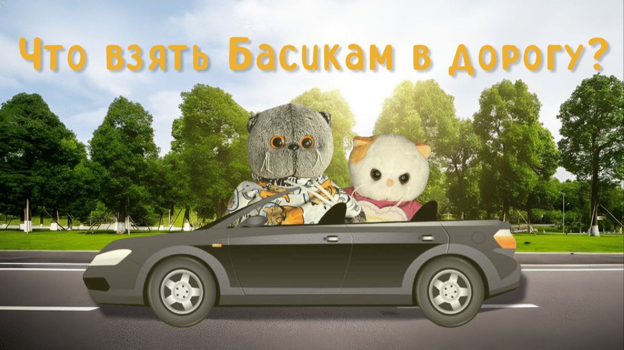 Что взять БАСИКАМ в дорогу смотреть онлайн
