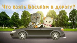 Что взять БАСИКАМ в дорогу