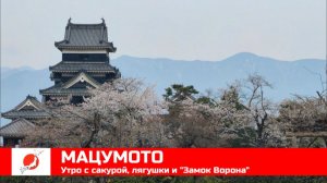 ЯПОНИЯ из окна поезда эп13: МАЦУМОТО - утро с сакурой, лягушки и "Замок Ворона"
