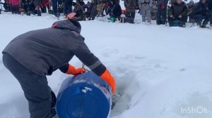 Запуск форели - 500кг