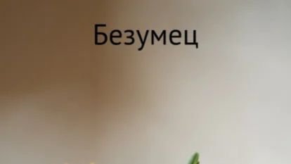 Буктрейлер к автобиографии Безумец👍 #литрес #литрессамиздат #автобиография #реализациясебя #триумф