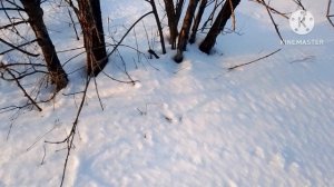 Солнечный вечер