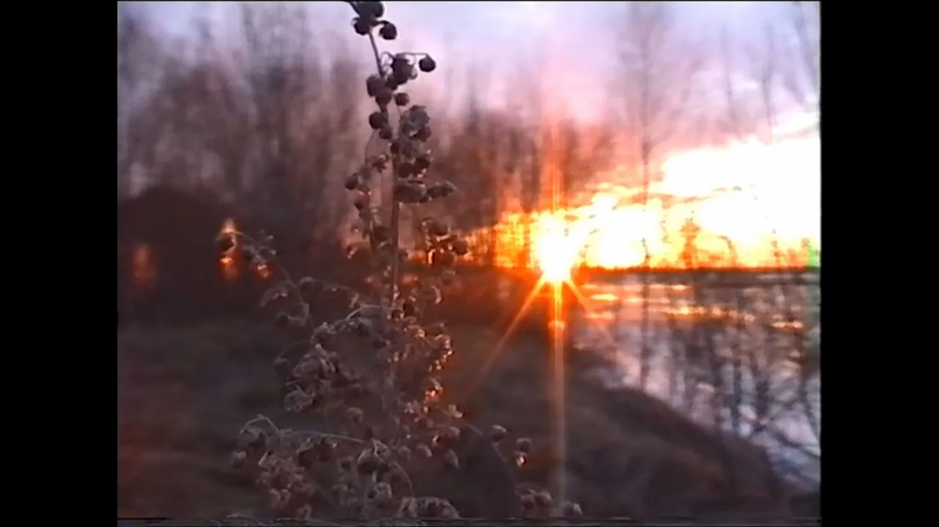 «Аналоговая Весна»