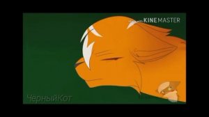 Коты воители