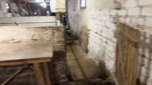 Саня Новиков/На улице красота 🌨️ С ними не всё так просто 🐐🏡