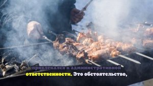 РИА Новости: москвич получил 13 суток ареста за шашлык на балконе и мат