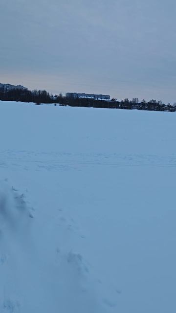 21.02.26. #доброеутро #архангельские смотреть онлайн