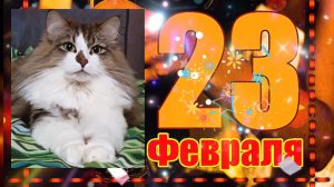 ПОЗДРАВЛЕНИЕ С 23 ФЕВРАЛЯ!