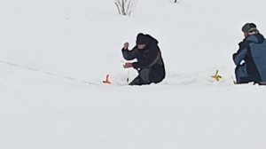 VID_20260221_110636_494