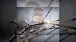 Владимир Набоков "Её душа, как свет необычайный..."