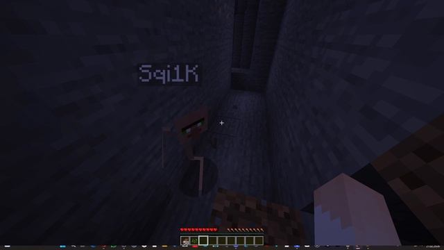 Играем в догонялки в Майнкрафте с саней