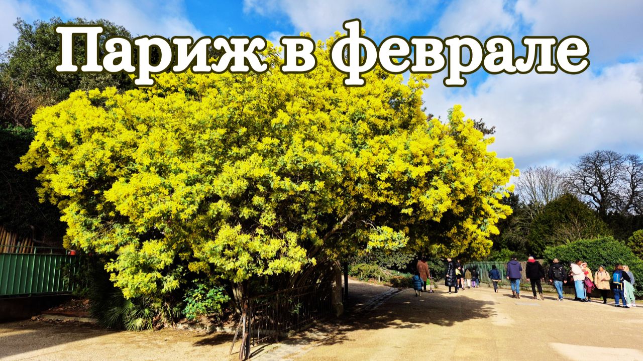 ПАРИЖ 21 февраля смотреть онлайн