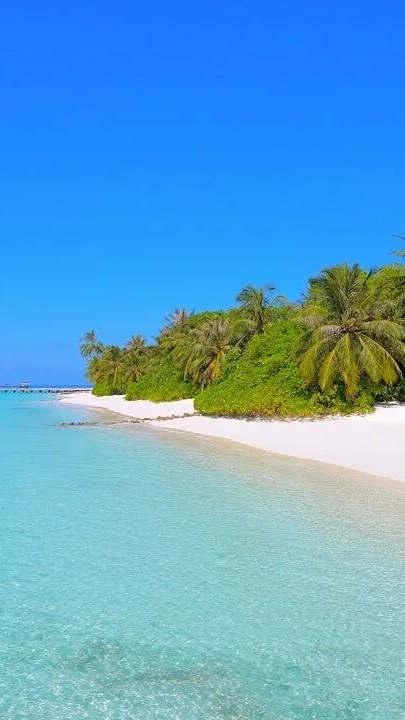 KISS ME - $ SOARING $ - ОПТИМИСТИЧНАЯ