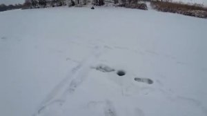 ЭТО ПРОСТО ЖЕСТЬ, НАШЕЛ ЩУЧЬЮ ТРОПУ И ПОПАЛ НА ДИКИЙ ЖОР ЩУКИ В ГЛУХОЗИМЬЕ. Рыбалка на балансир 2025