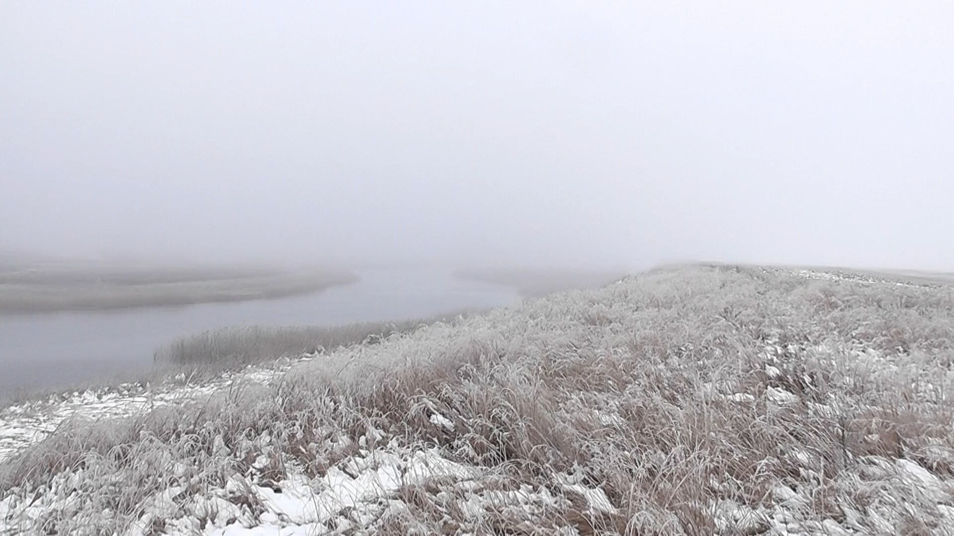Поздний осенний выезд на поиск монет. смотреть онлайн
