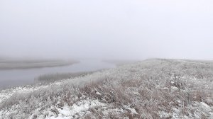 Поздний осенний выезд на поиск монет.