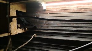 Ворон Гриша 13 ноября, с праздником