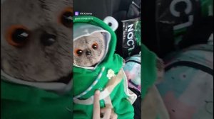 выписка из больницы. ВЛОГ БАСИКА