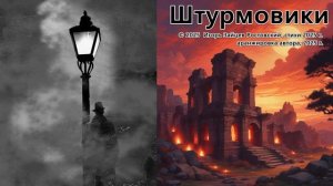 Штурмовики