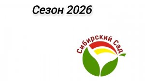 Мой выбор перцев от агрофирмы "Сибирский Сад" на сезон 2026