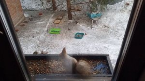 с другом веселее