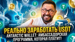 Как реально зарабатывать USDT в Antarctic Wallet: амбассадорская программа, которая платит!