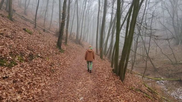 Liquid lone walk February смотреть онлайн