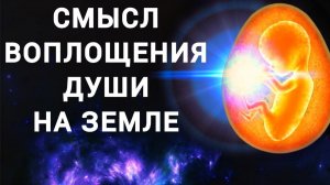 Смысл воплощения и ловушки пожирателей душ. Зачем душа воплощается в материальный мир Яви.