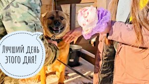 К Псу Кубику косточка приехала, Машу привезла! Сычу ХЗ разрешили гулять на улице