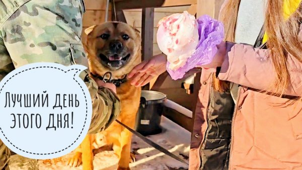 К Псу Кубику косточка приехала, Машу привезла! Сычу ХЗ разрешили гулять на улице